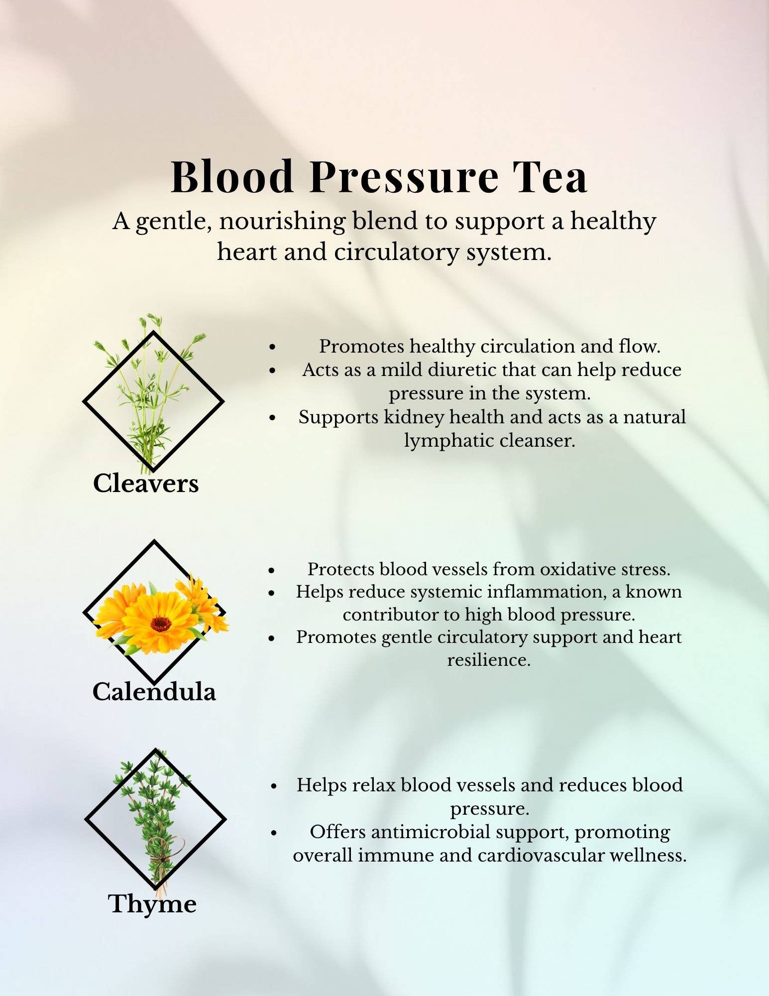 Angels Apoth-a-fairy - Wholesale Health/Detox Tea - Blood Pressure Tea2