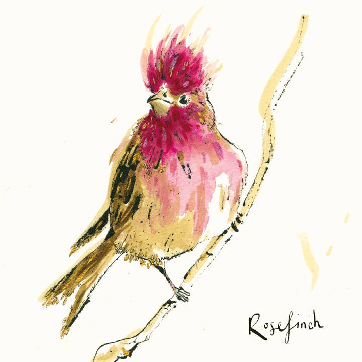 Rosefinch Card for wholesale by Anna Wright Ltd