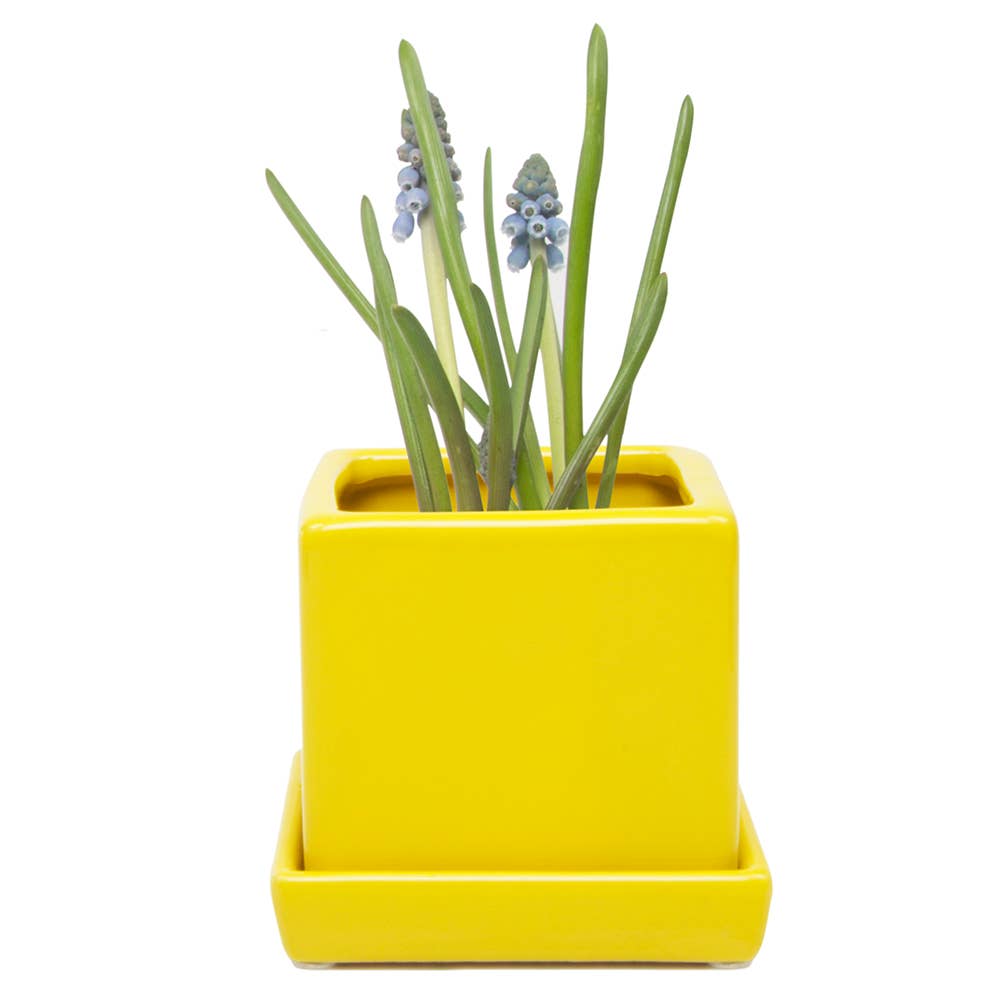 Chive - Wholesale Plant Pot - Cube Pot With Saucer And Drainage Hole 60 Plus Colors22