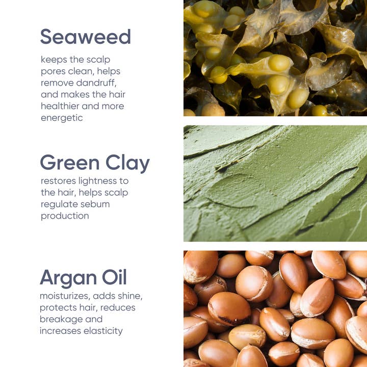 Wayward Chickadee – Caixa de champô/champô sólido por atacado – Champô Sólido Revitalizante de Algas e Limão2