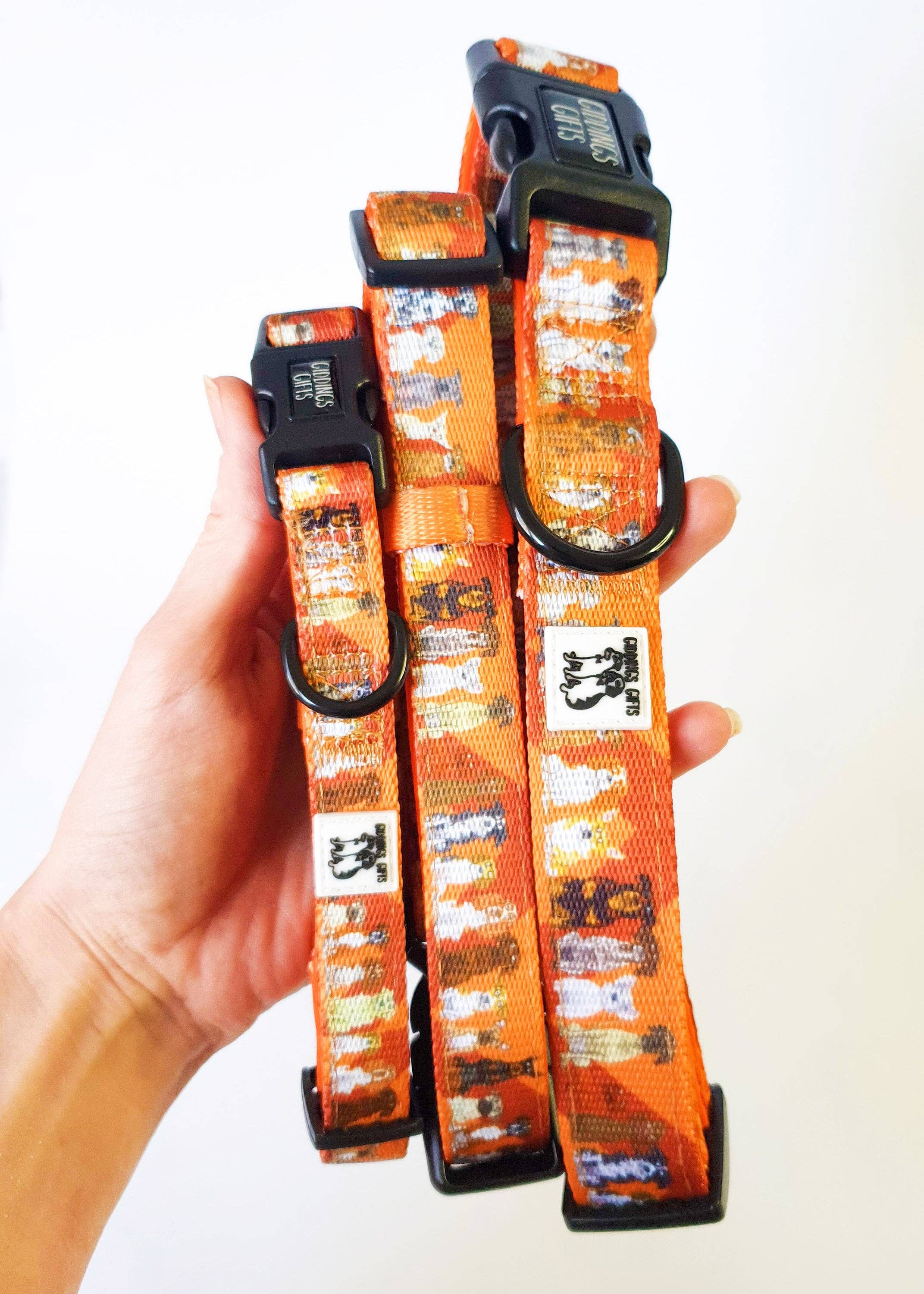 Giddings Gifts - Wholesale Pet Collar - Dog - All Dogs' Dog Collar1