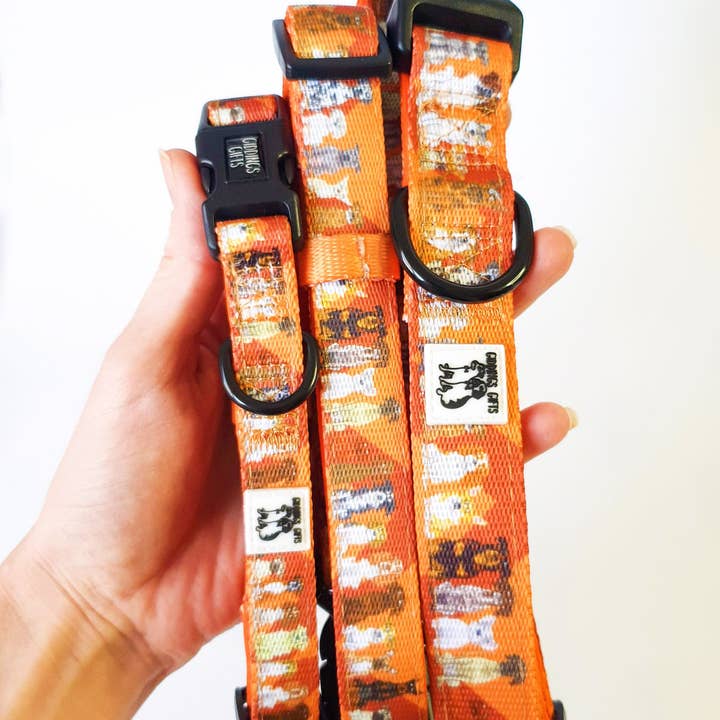 Giddings Gifts - Wholesale Pet collar – Dog - All Dogs' Dog Collar1