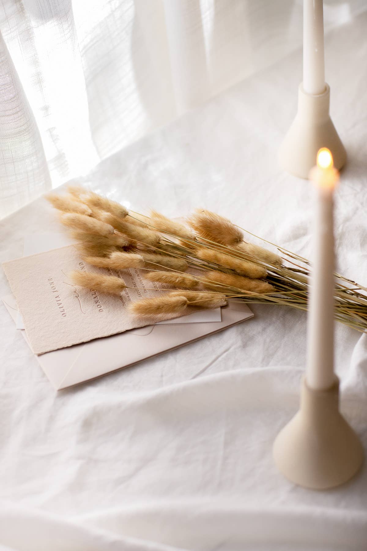 For Love Of Pampas - Vente Fleur séchée/pressée - Bunny Tails Naturel3