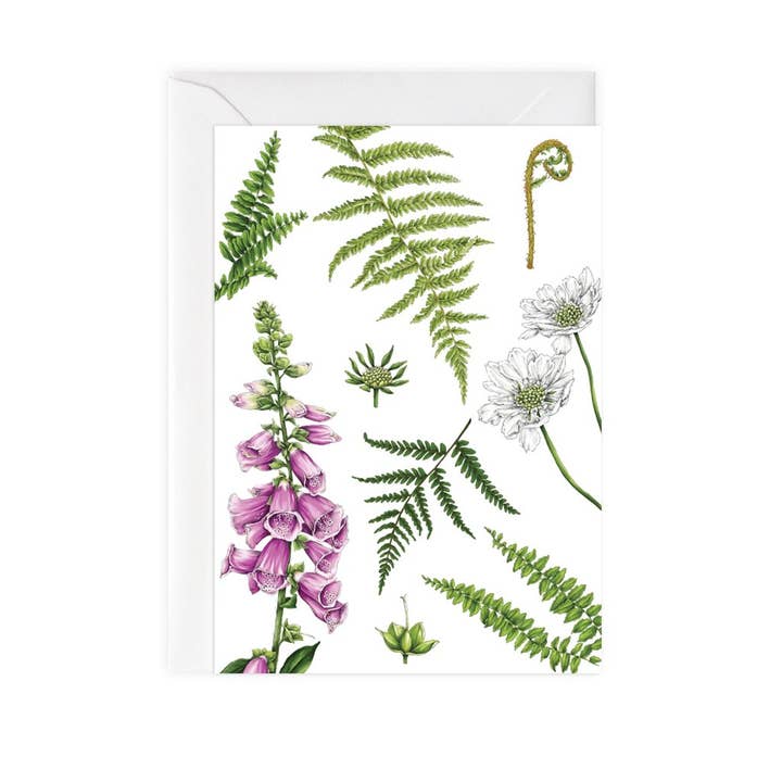 Catherine Lewis Design - Wholesale Everyday Greeting Card - Foxglove & Ferns1