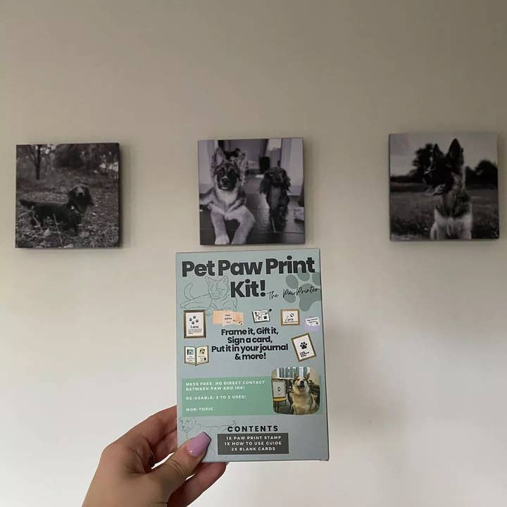 Paw Prints - Vendita all'ingrosso Giocattoli per animali - Cani e gatti - Kit PawPrint per cani, gatti, porcellini d'India, conigli