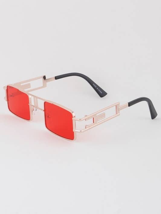 Tinted Frame Sunglasses HOEA165 for wholesale by House of E ATL LLC