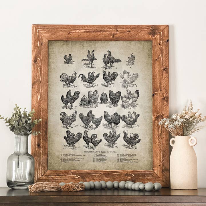 Hönsraser Diagram Inramad Väggkonst Vintage Gårdsdekor för wholesale av Swinford Designs