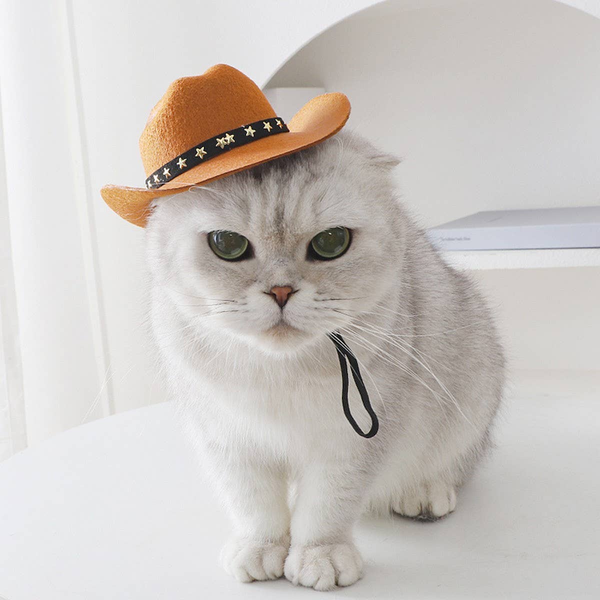 Toby Supply - Wholesale Pet Hat - Dog - Cowboy Hat for Cats – Stylish Sun Hat for Persian_CWMM72621