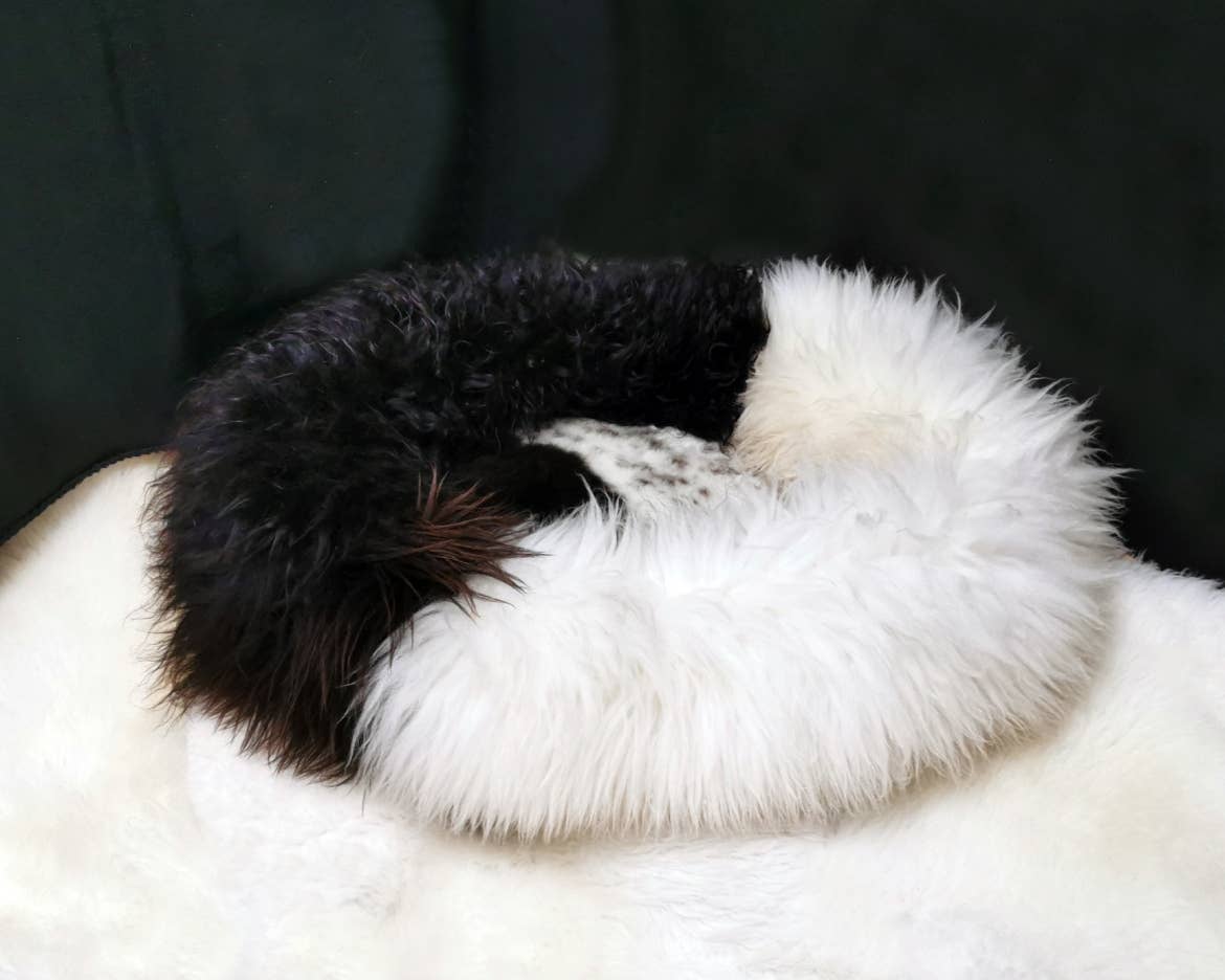 white Best dog beds large, luxury sheepskin dog beds for wholesale on Faire5