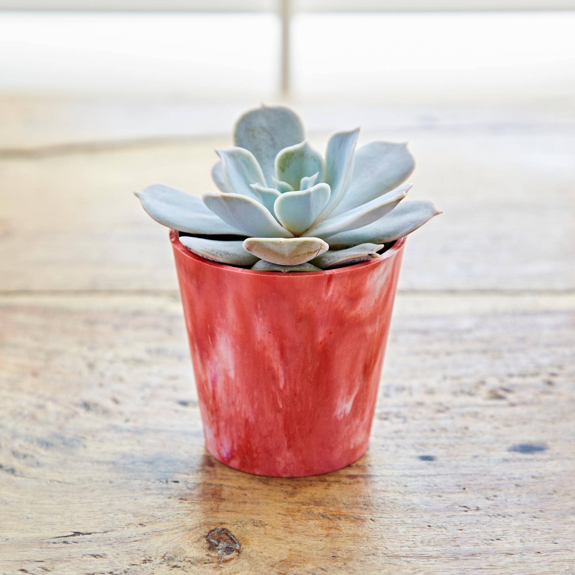 The Paper High Gift Company Limited – wholesale Plant pot – Recycled Plastic Mini Houseplant Pot2