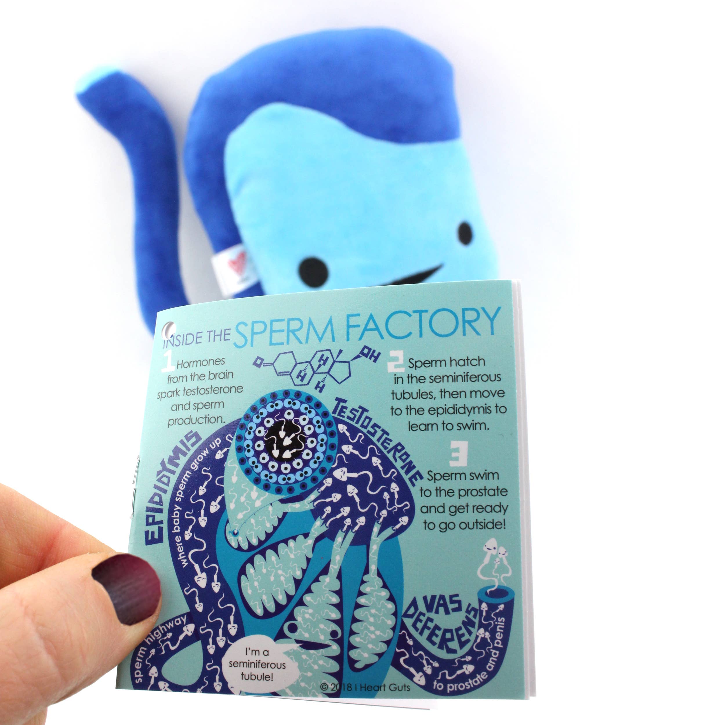 I Heart Guts | Organ Plushies Wholesale - Venta al por mayor Peluche - Niños y bebés - Peluche testículo - Tener una bola8