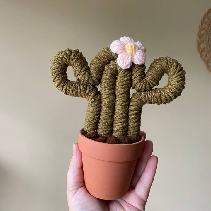 ForgetBKnot - Vente Plantes artificielles - Plante Éternelle Cactus en Macramé (Moyen & Petit)1