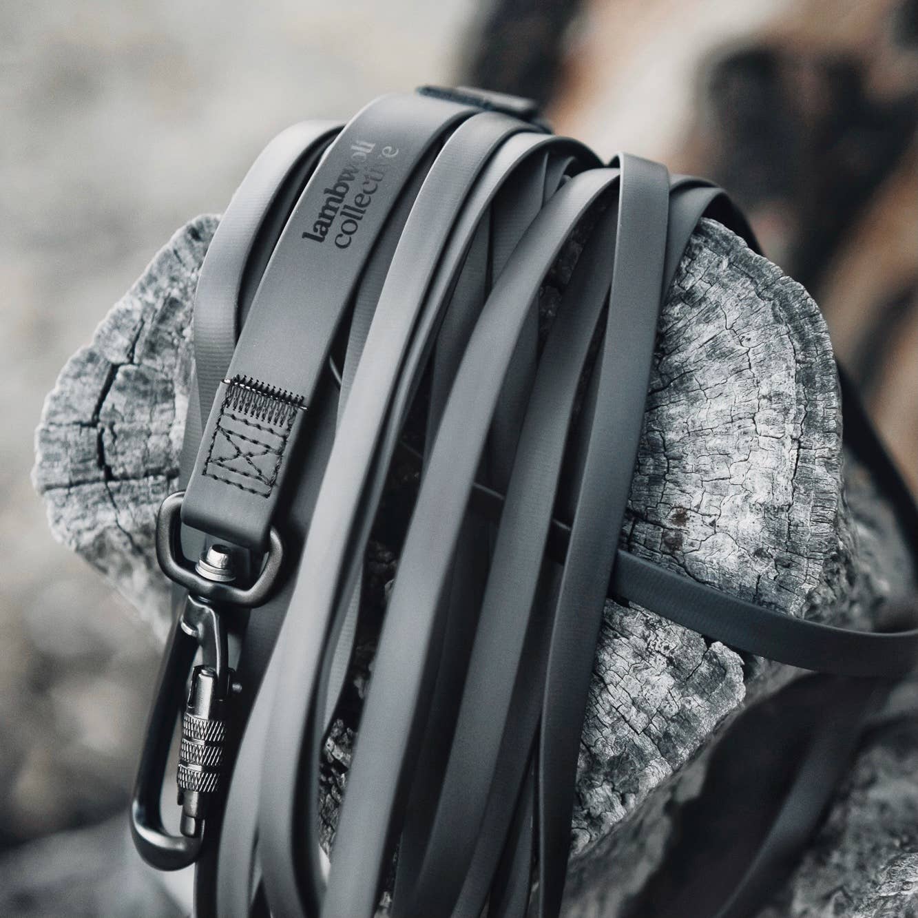 Lambwolf Collective - Vente Laisse – chien - NOMAD | longe ultralégère longue // Longe pour chien longue7