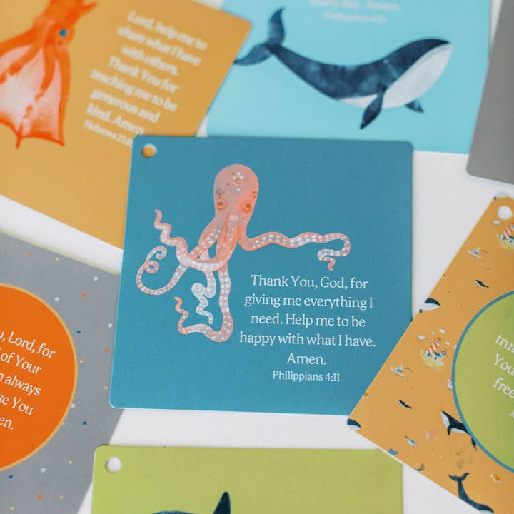 Tiny Theologians - Wholesale Learning Cards - Kids & Baby - My First Bedtime Prayers4