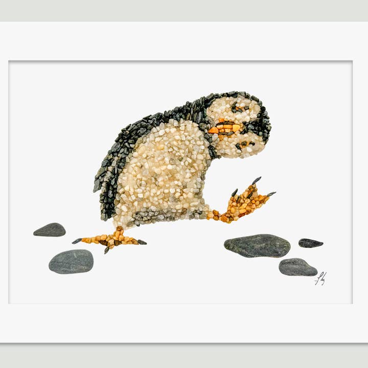 Pip the Puffin | Coastal Puffin Bird Matte Print for wholesale by Coastal art co.