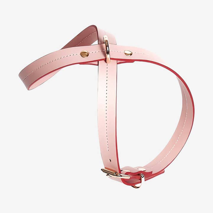 Elegance harness — pink for wholesale by Jacky's Place