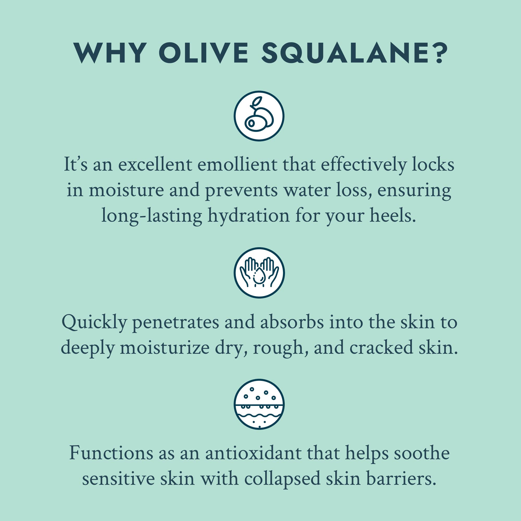 VOESH New York - Wholesale Foot Cream - Solemate Heel Repair Balm Retail Display Kit - Mint7