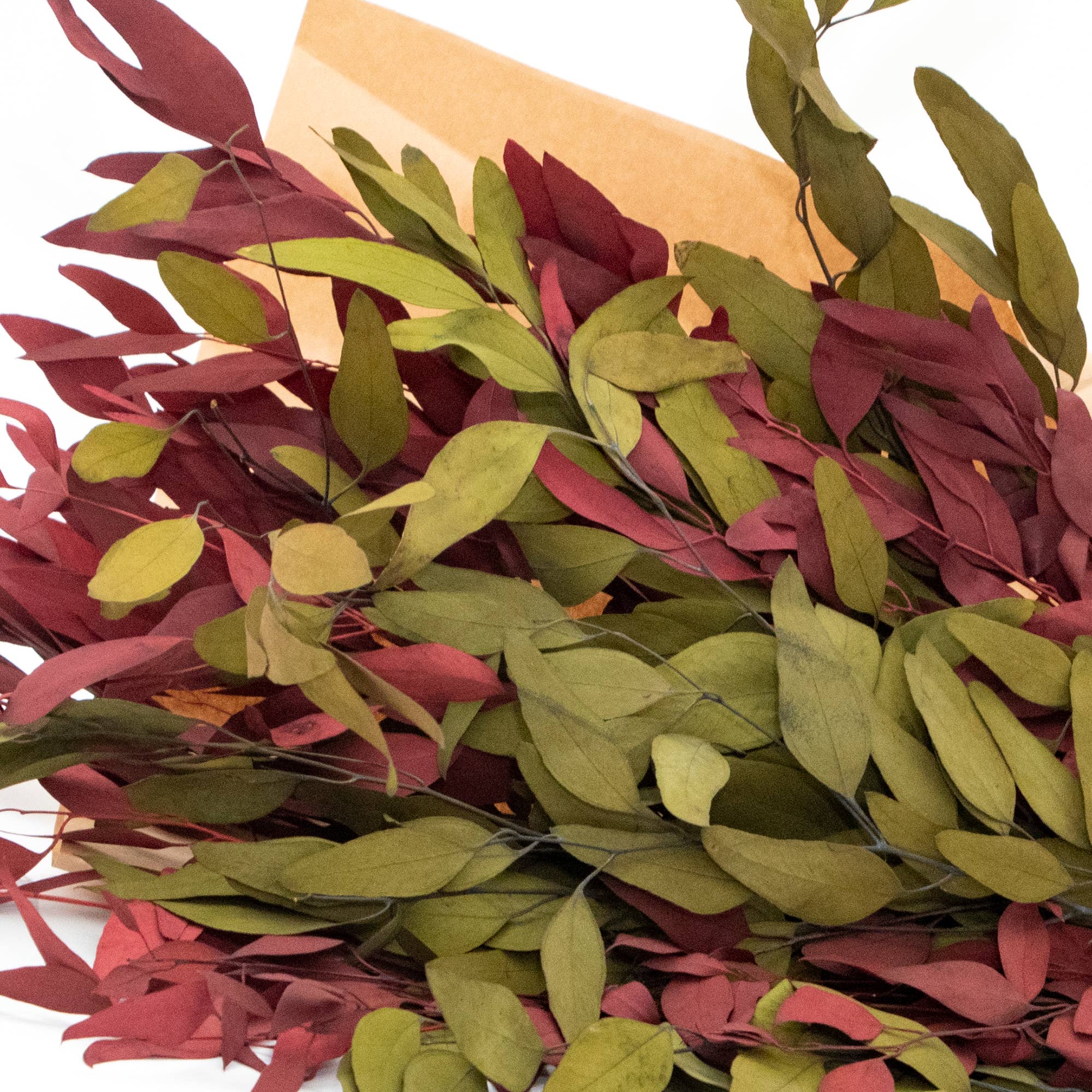 Andaluca - Wholesale Dried/Pressed Flowers - Farmhouse Willow Bundles6