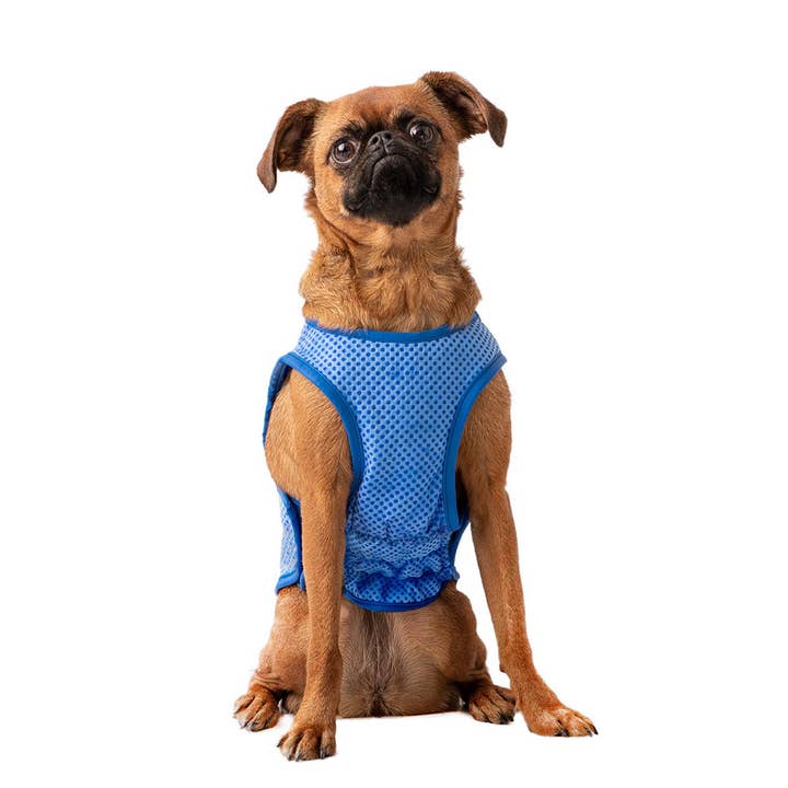 GF Pet - Wholesale Pet vest – Dog - GF Pet Elasto-Fit Ice Vest: Blue4