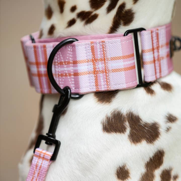 The aDoraBle Pooch Company - Wholesale Pet collar – Dog - Heritage Martingale Collar - Strawberry Cottage5