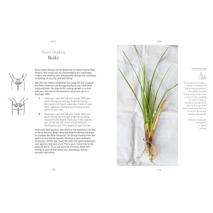 Union Square & Co. - Wholesale Book - Adult - Sacred Chakras by Victor Archuleta