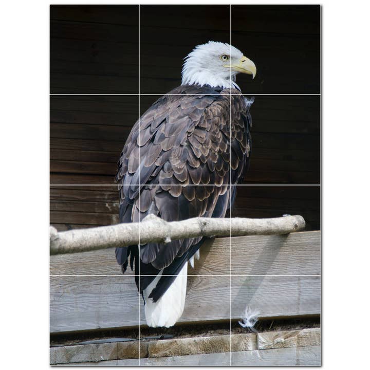 Bird keramiske fliser Keramiske fliser Vægmaleri PT500166 for engroshandel hos Picture-Tiles.com