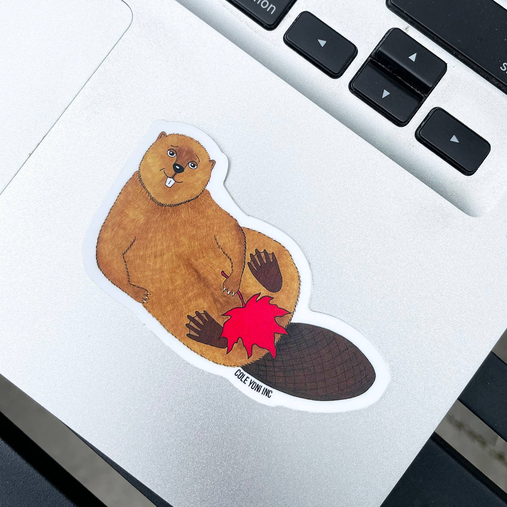 Cole-Yoni Inc. - Vente Autocollant - Autocollant en vinyle Castor canadien1