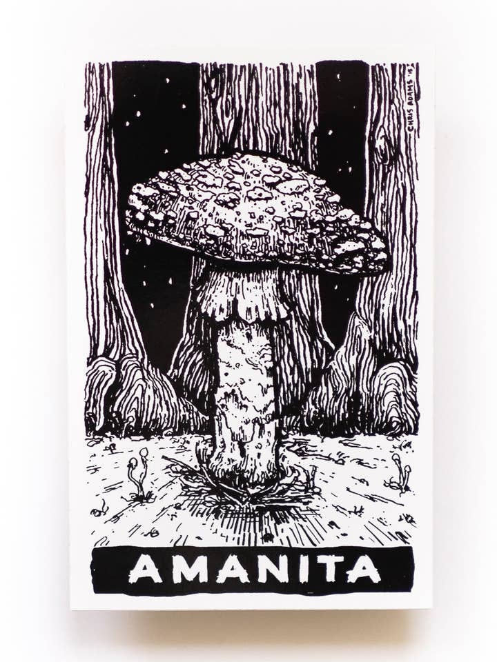 Classic Amanita Tarot Sticker for wholesale by Sporelust!