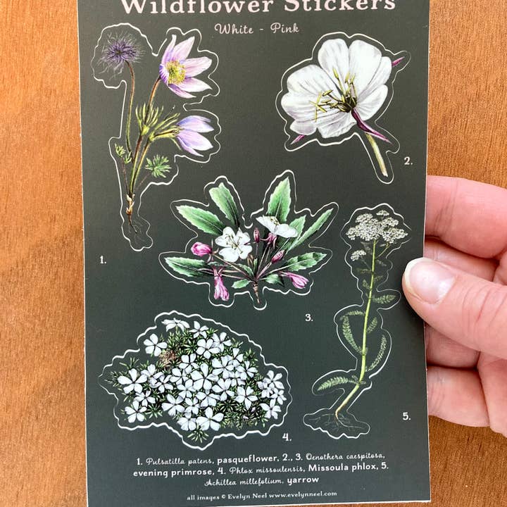 Wildflower Sticker Sheet - White to Pink for wholesale by Madrona Press
