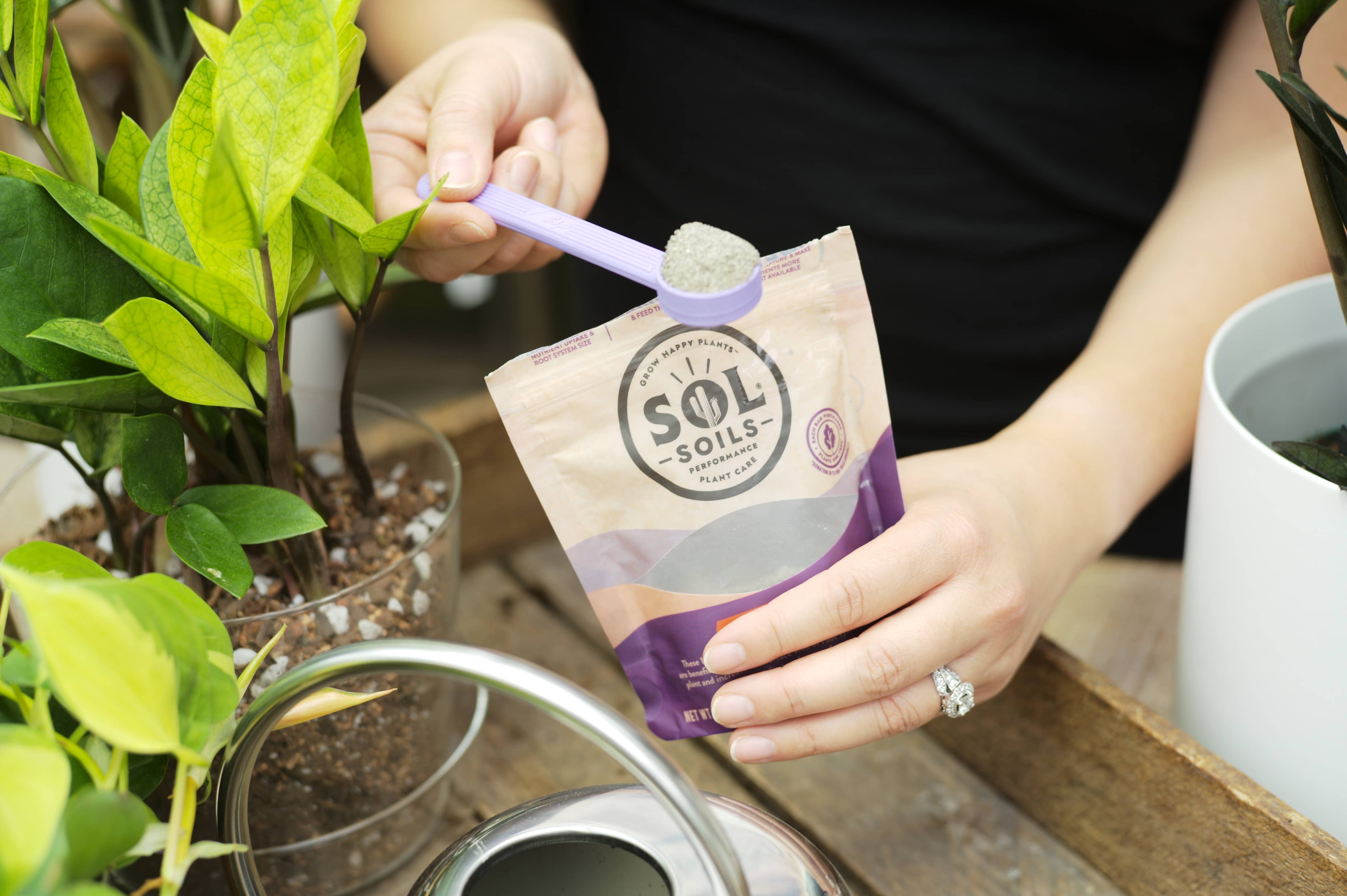 Sol Soils - Wholesale Fertilizer - Sol Biotics - Soil Salvation - Worm Castings & Biochar6