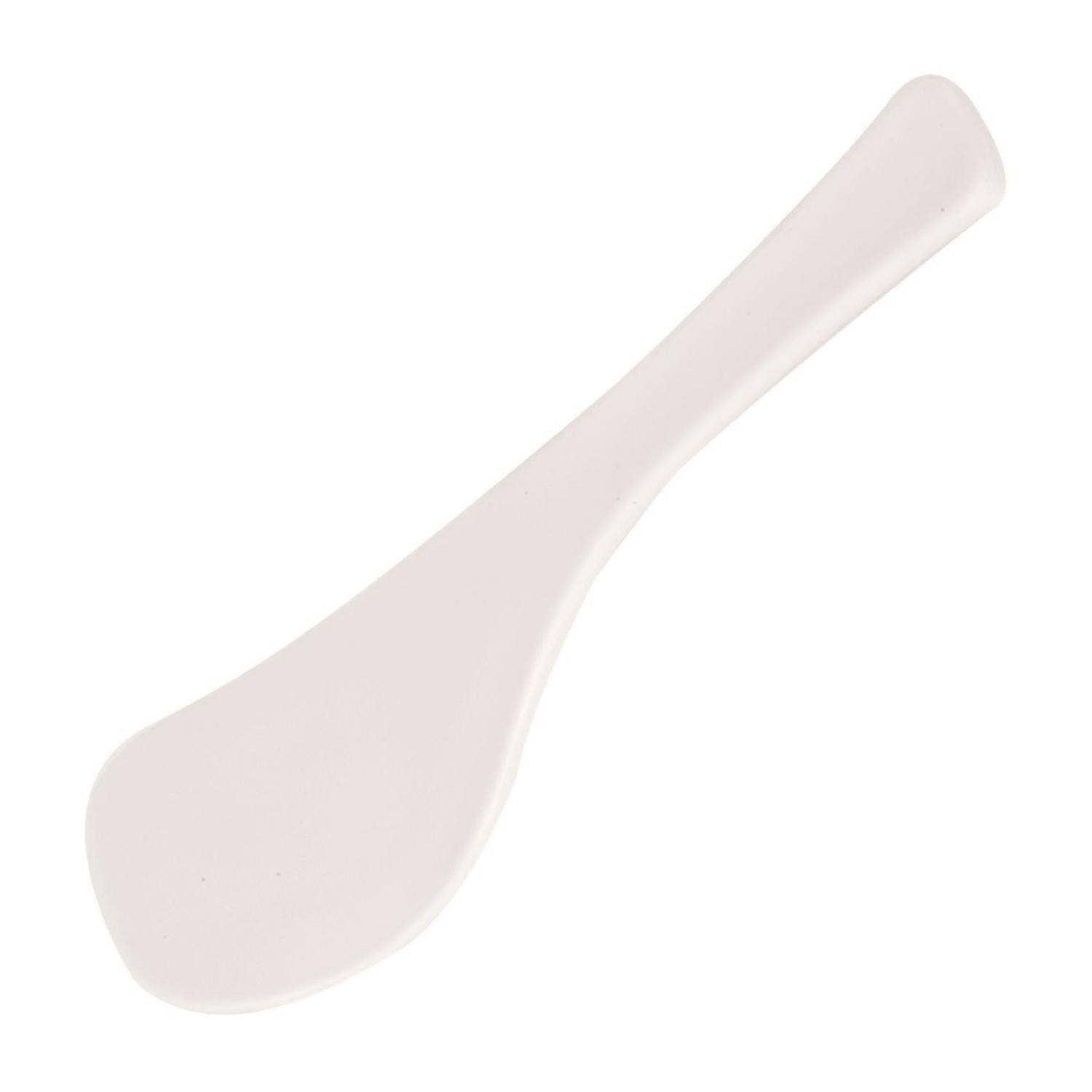 KT Supply - Wholesale Kitchen Tool/Gadget - Plastic Rice Spoon, Pack of 201