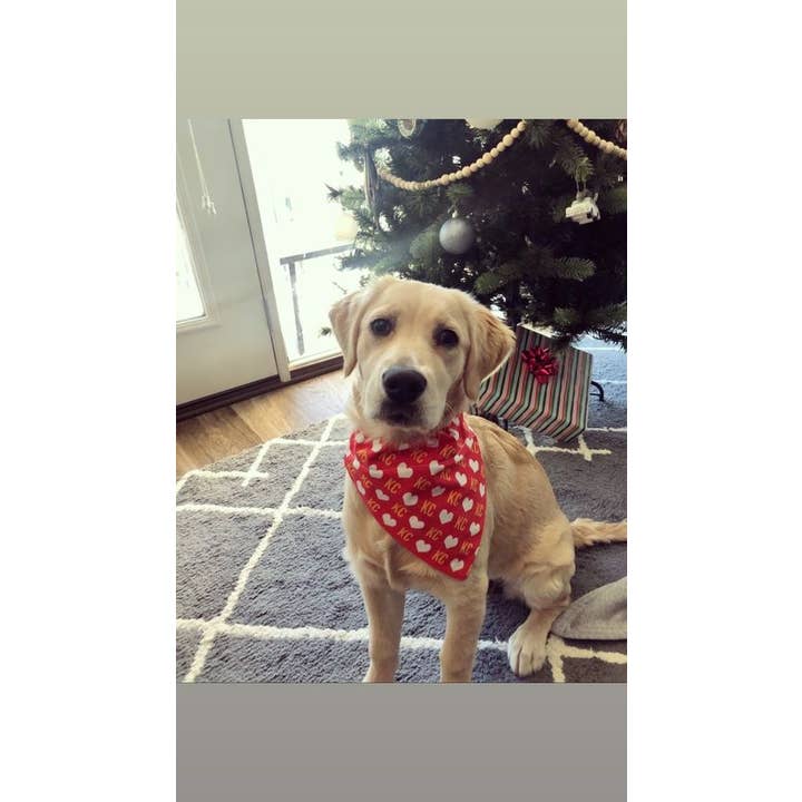 PawsAbilities - Wholesale Pet Bandana - Dog - KC Heart Dog Bandana