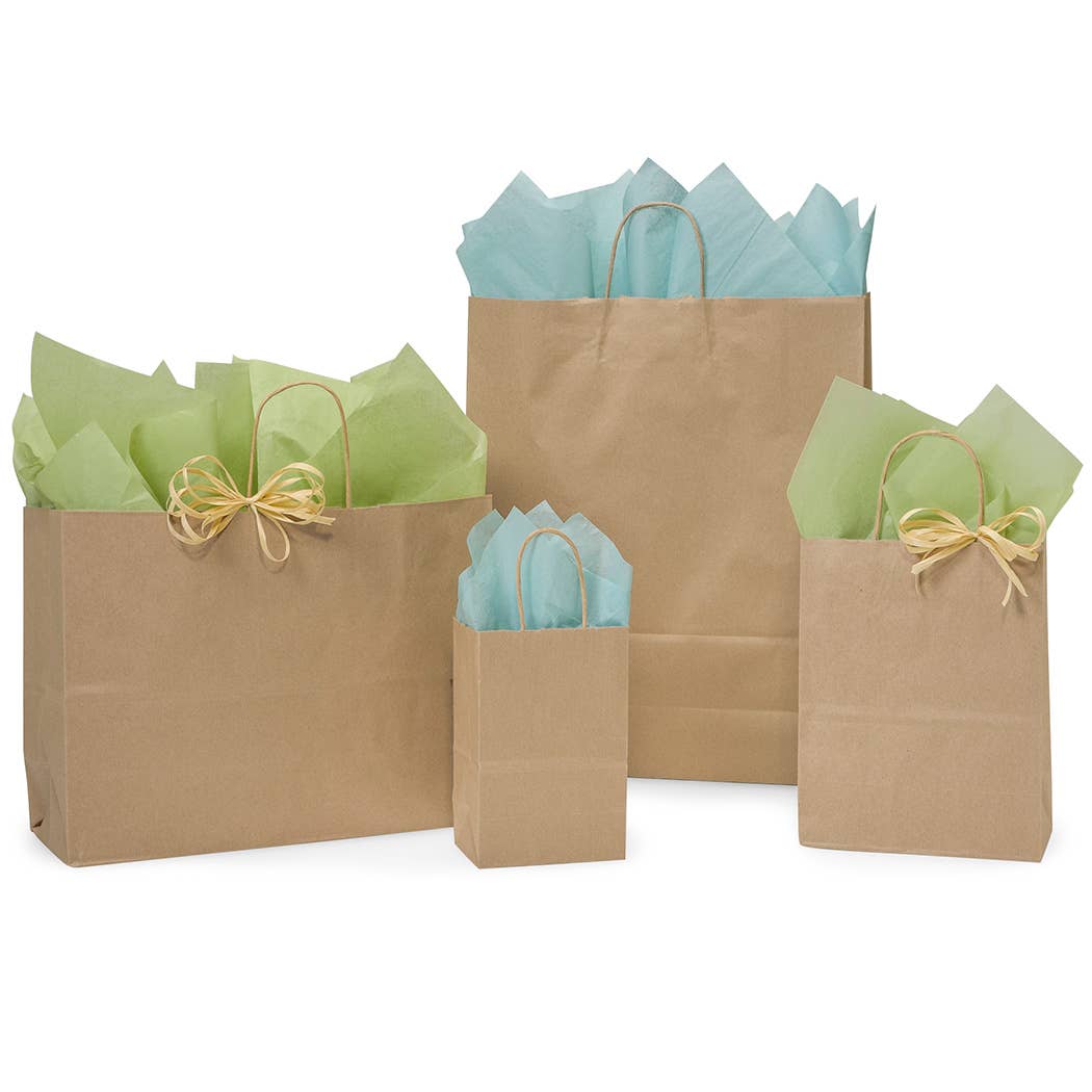 Nashville Wraps - Wholesale Grocery/Shopping Bag - Recycled Brown Kraft Paper Retail Shopping Bags13