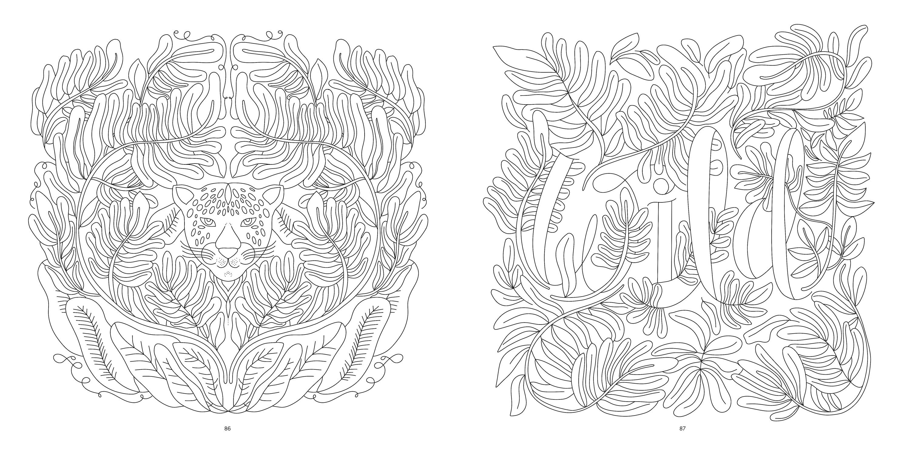 Schiffer Publishing - Wholesale Coloring Book - Adult - Happy Place Coloring Book5