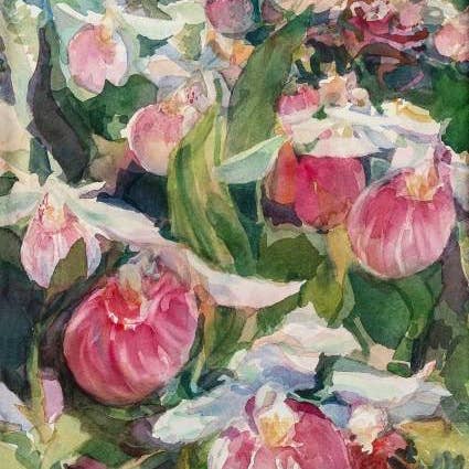 Senhora da Mata por atacado de Givinity Press