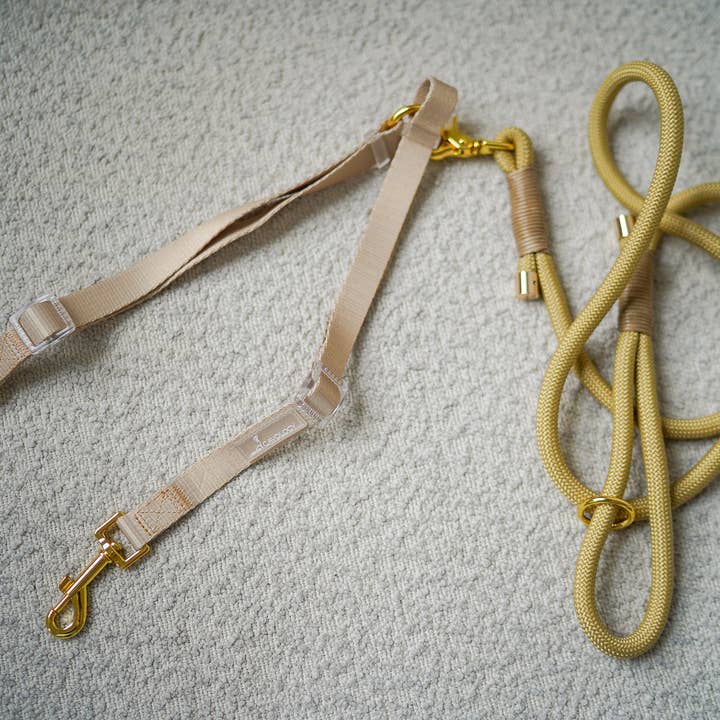 Cavology - Wholesale Pet Leash - Dog - DOG LEASH COUPLER SPLITTER MULTI DOG ATTACHMENT PASTEL COLOR5