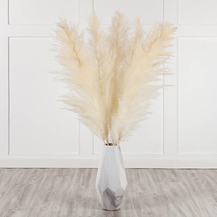 Mollie Sophia Ltd – Engroshandel Tørrede/pressede blomster – Naturligt pampasgræs 120cm tørret pampas til vase boligindretning