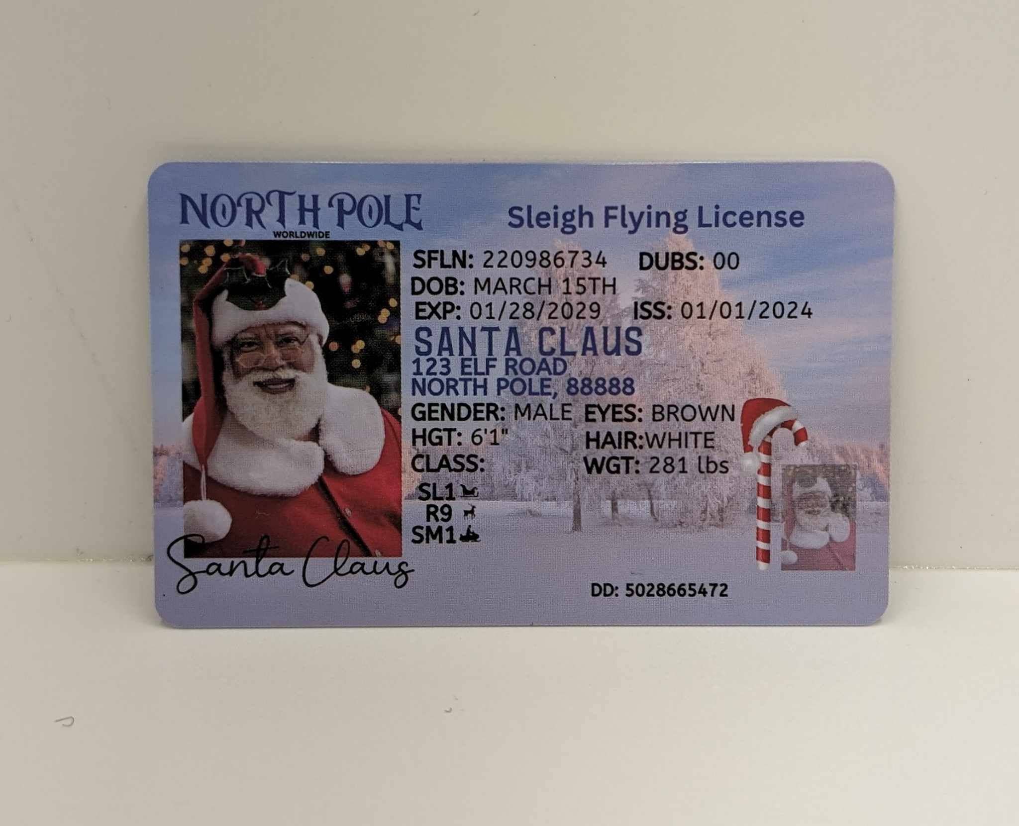 Snowfall Ridge LLC Accessories - Wholesale Christmas Decoration - Kids & Baby - Black Santa Evidence Kit 1