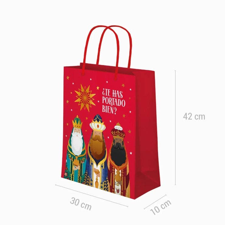 Mis Globos - Wholesale Gift Bag - Gift bag Have you behaved well? Median