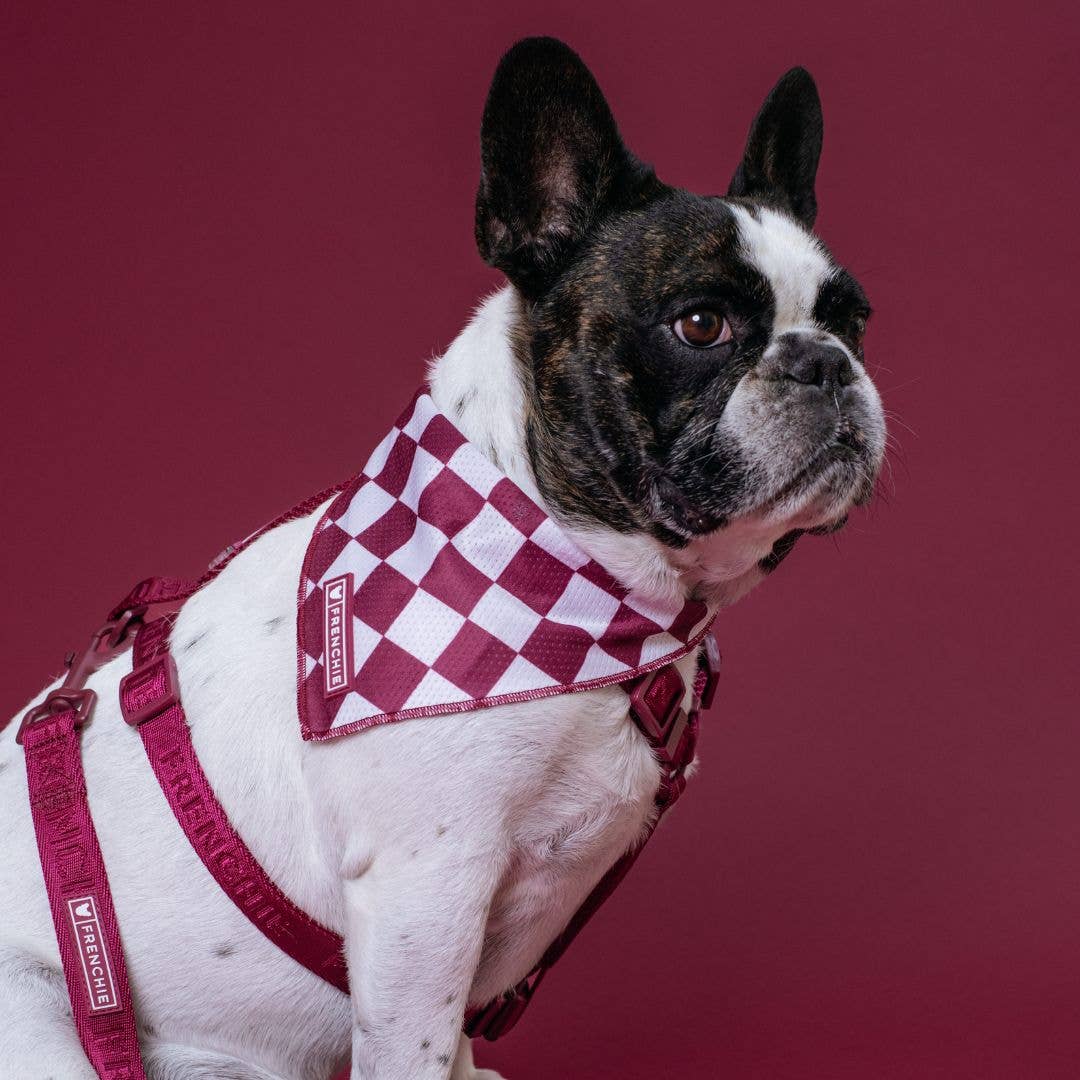 Frenchie – Engroshandel Bandana - Hund – Frenchie Kølebandana - Rubin1