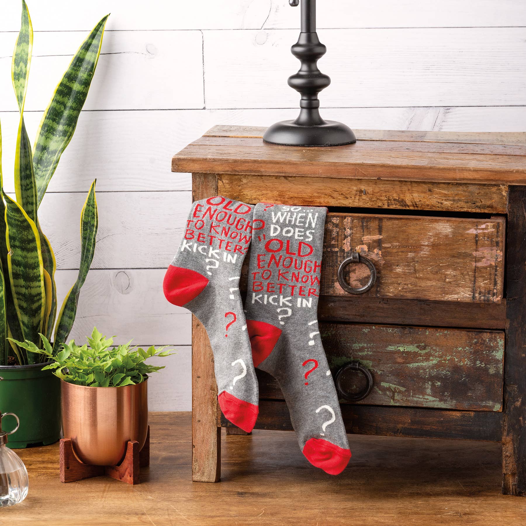 Primitives by Kathy - Wholesale Socks - Unisex - When Does Old Enough To Know Better Socks1