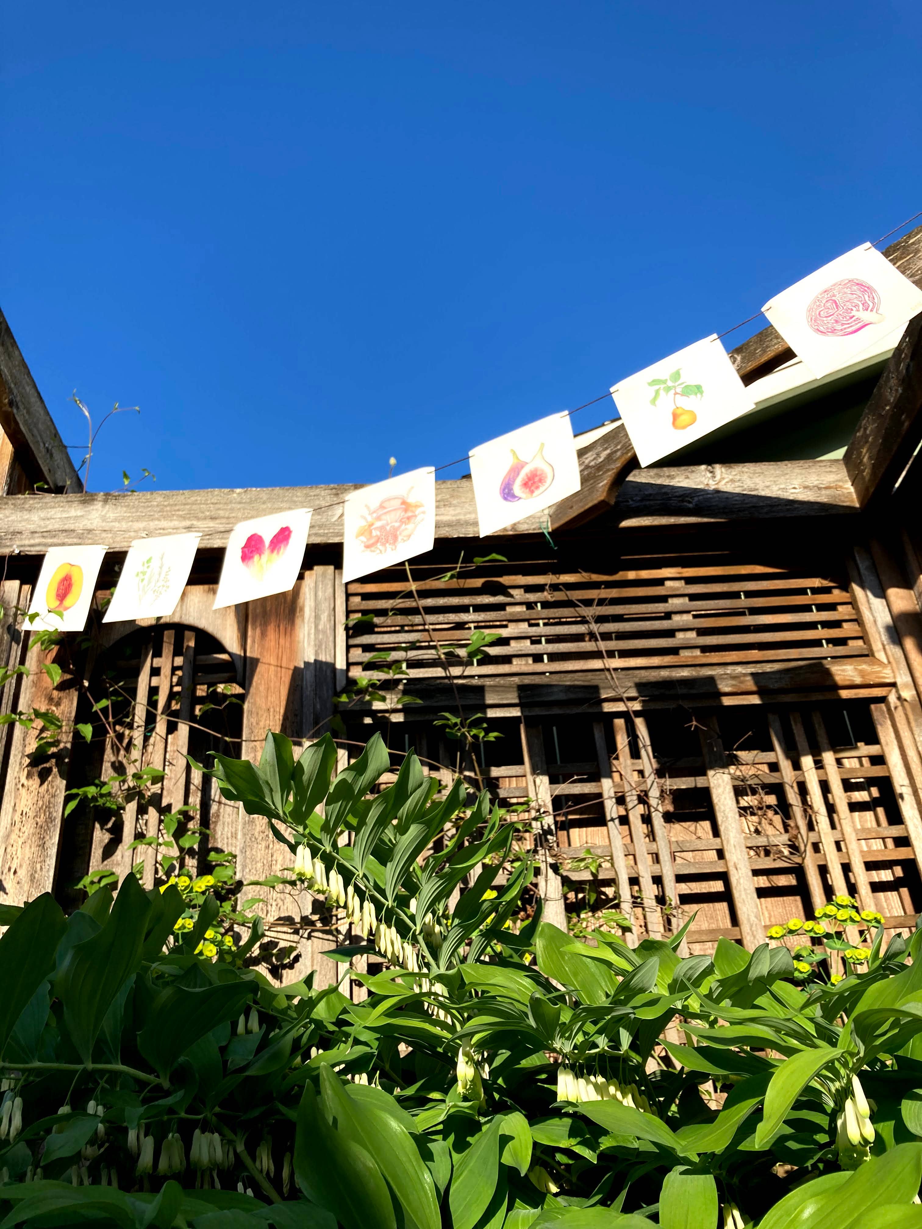 Plant Posse – wholesale Banner – Produce Prayer Flag22