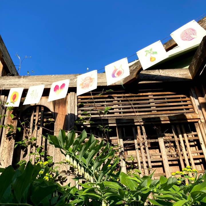 Plant Posse – wholesale Banner – Produce Prayer Flag22