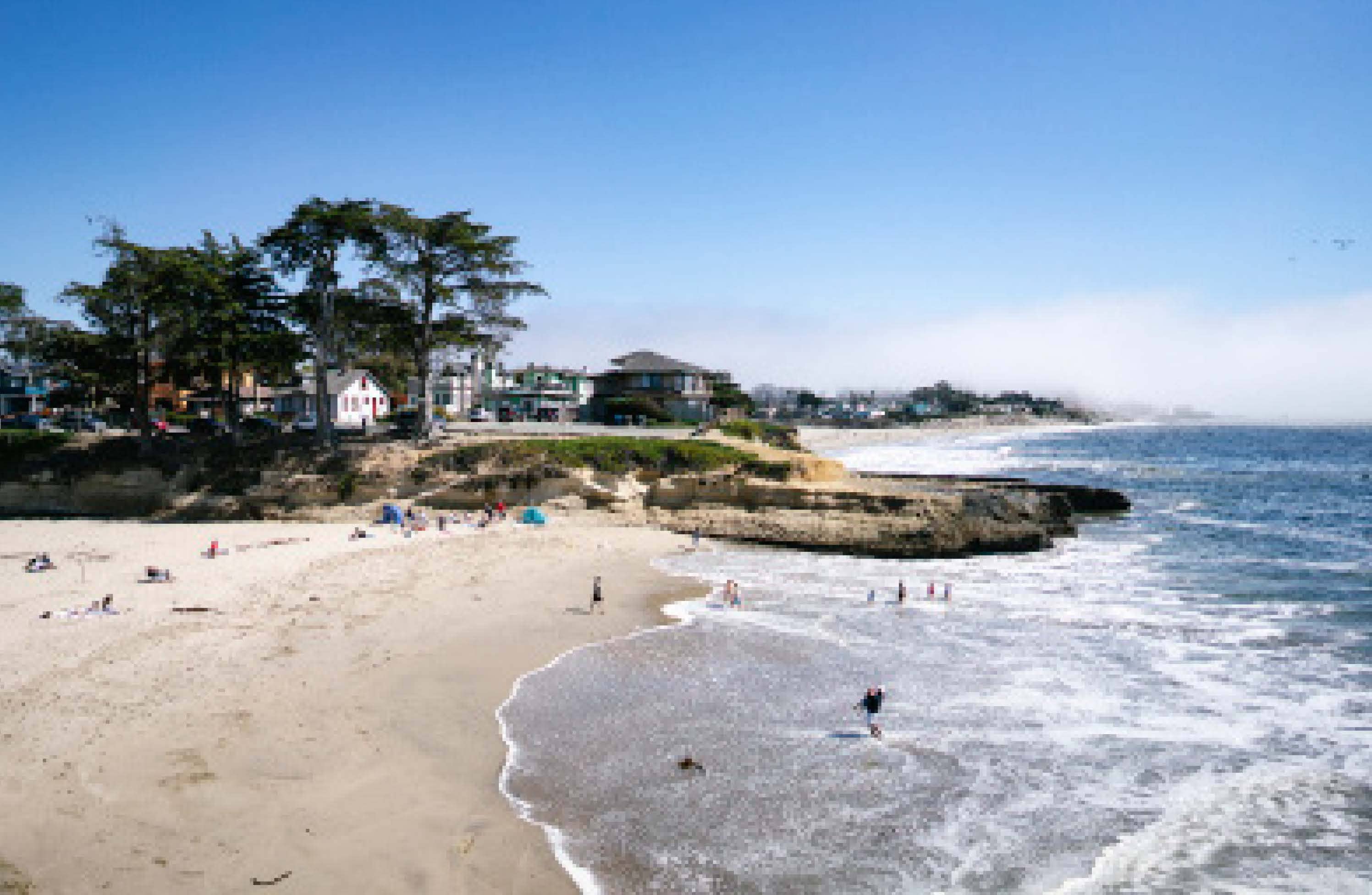 Chronicle Books - Wholesale Nature & Outdoors - Places We Swim California4