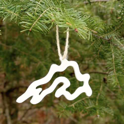 Little Lion 3D - Wholesale Craft Supplies - Design Fee - Create a Fully Custom 3D Printed Product 6