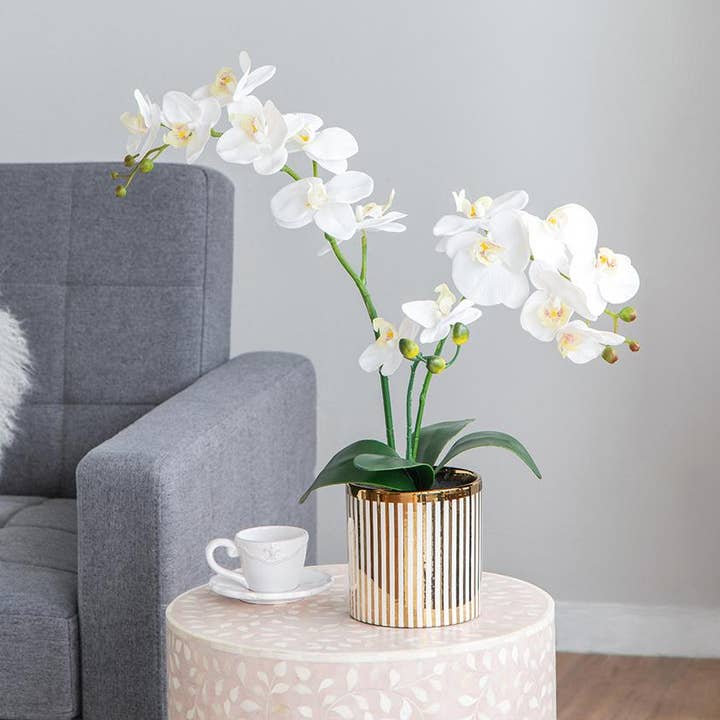 9.5x6x20.5"H Artificial White Orchid in Gold Striped Pot and other Purchase wholesale artificial white orchids. Free returns & net 60 terms on Faire trending on Faire.
