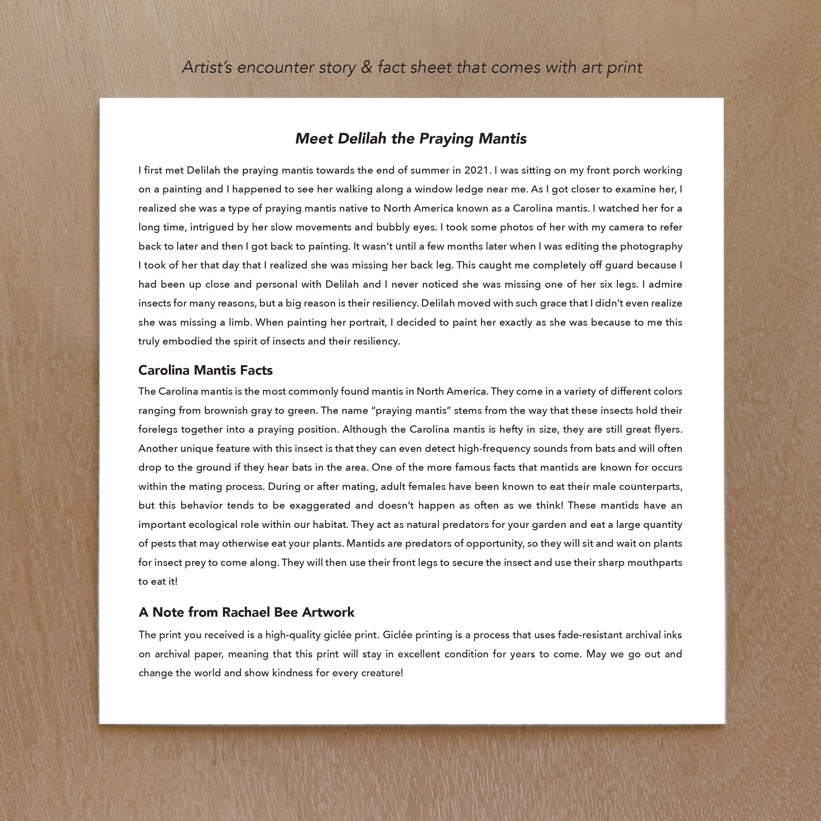 Rachael Bee Artwork - Wholesale Art Print - Praying Mantis Art Print2