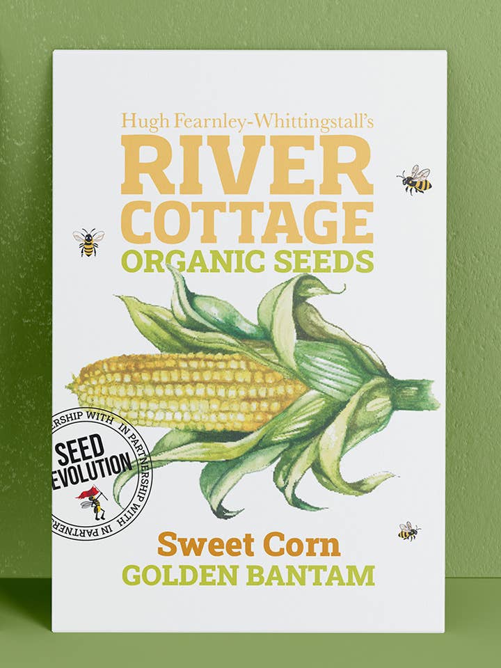 Organic Sweet Corn Seeds Golden Bantam | River Cottage for wholesale by Seed Revolution