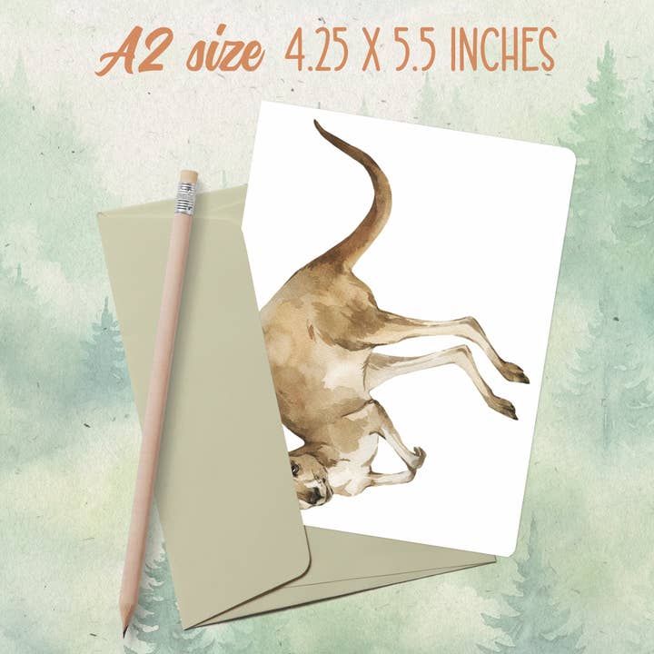 Handmade wallaby greeting card for wholesale by Soul Familiar