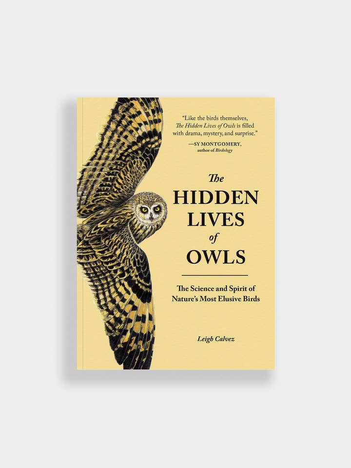 The Hidden Lives of Owls: Nature's Most Elusive Birds for wholesale by Blue Star Press